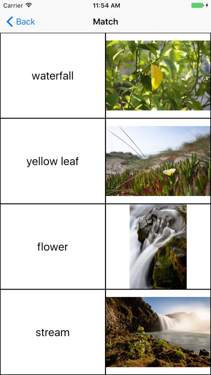 LearnMyWords screenshot-4