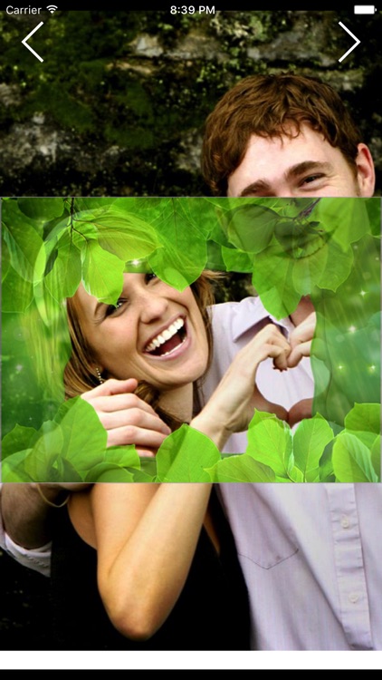 Nature Photo Frames - Natural, Greenery, Forrest