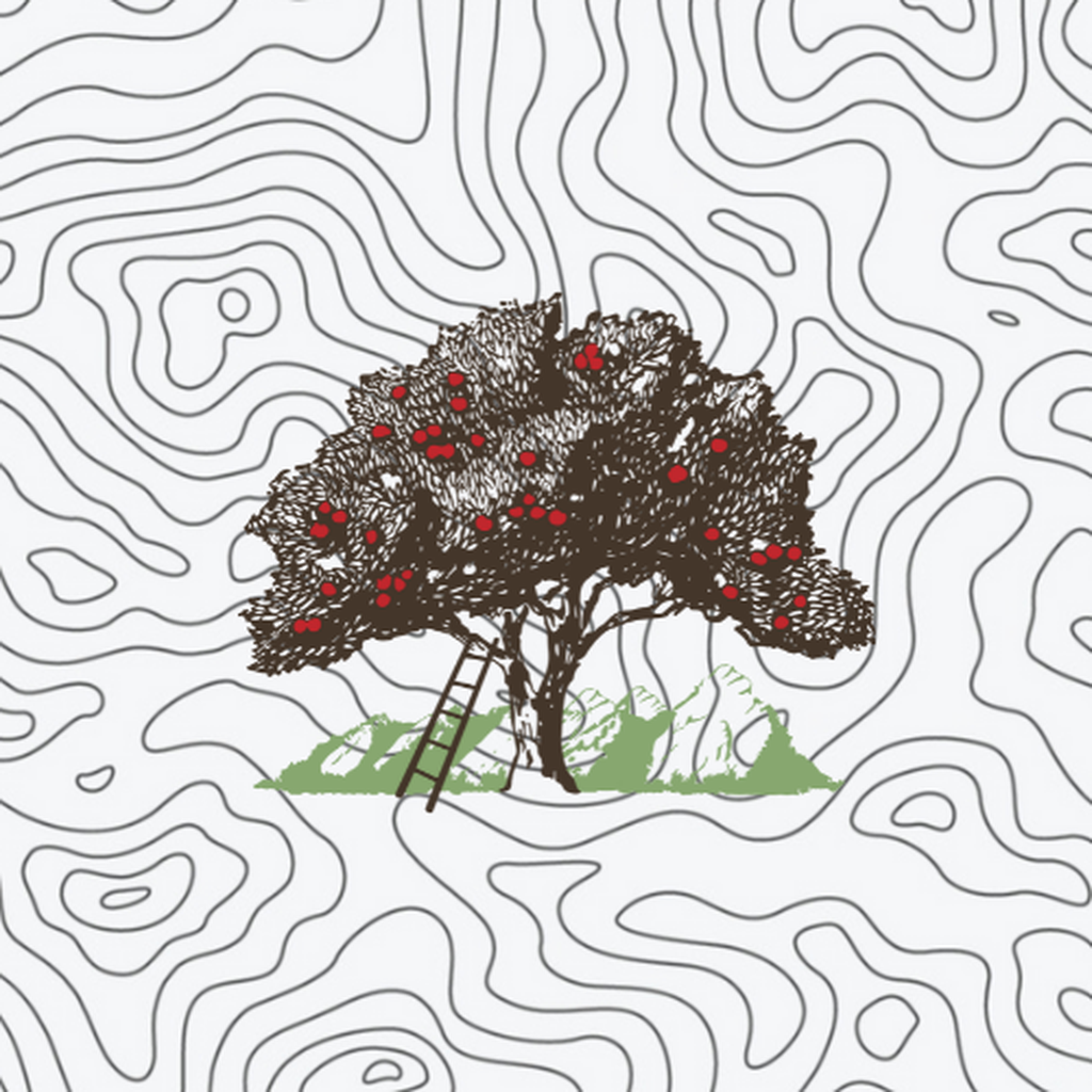 Get BATP Collect for iOS, iPhone, iPad Aso Report