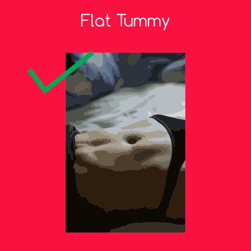 Flat tummy icon