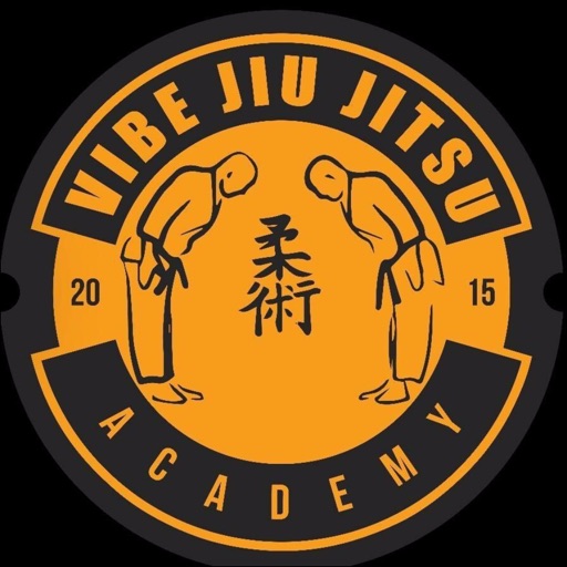 Vibe Jiu Jitsu Academy