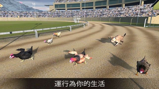 Hen Racing Simulator - Race Free Range Chickens(圖3)-速報App