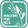 Walking For Rice