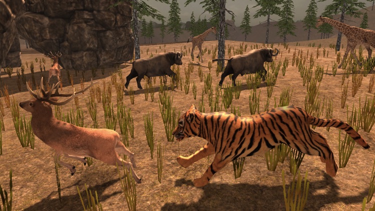 Grand Tiger Simulator screenshot-4