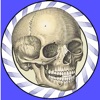 Speed Bones Lite (Quiz) Speed Bones Lite (Quiz)
