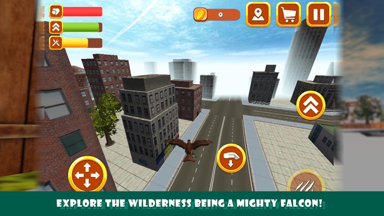 City Falcon Simulator 3d: Bird Wild Life