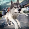 ファーム 狼 スーパーレース シミュレーション ゲーム 子供ため 無料