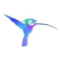 Colibri Adventure (game) pour PC