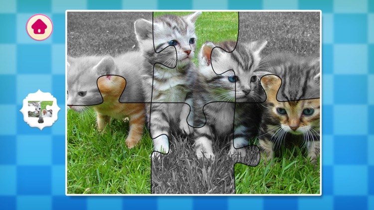 Real Farm Animals Jigsaw Puzzles