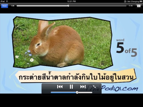 Learn Thai with Video for iPad screenshot 3