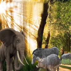 Activities of Jungle Animals Attack-Elephant Simulator Game