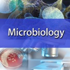 Top 30 Education Apps Like Nursing : Microbiology Quiz - Best Alternatives