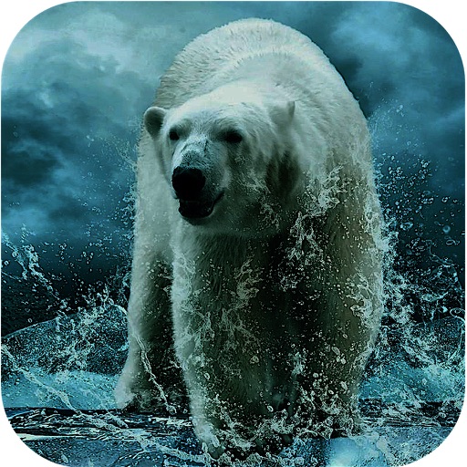 Wild Angry Polar Bear Sniper Hunting Simulator Pro Icon