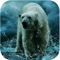 Wild Angry Polar Bear Sniper Hunting Simulator Pro