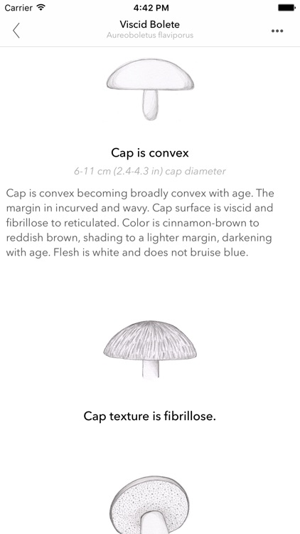 Mushroom Guide - North America