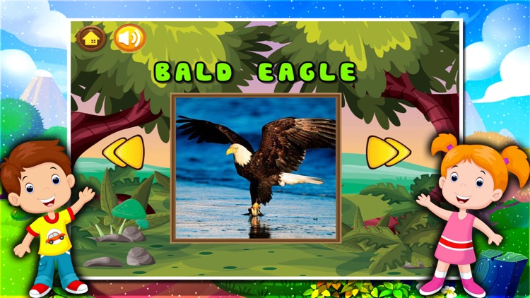 Preschool Educational Games for Kids - Animals screenshot-4