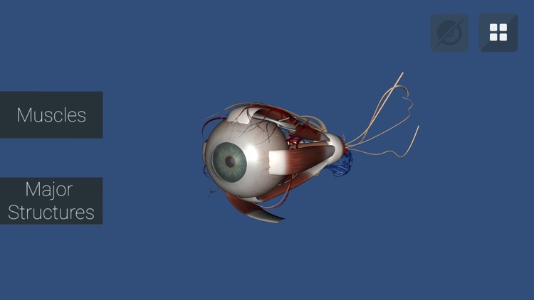 Anu Reality EyeSim Mobile 2 screenshot-4