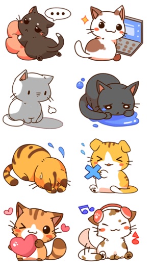 Best Cats(圖2)-速報App