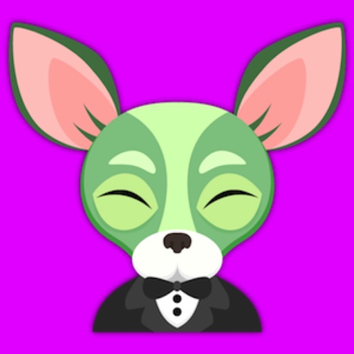 Green Saint Patrick's Day Chihuahua Stickers