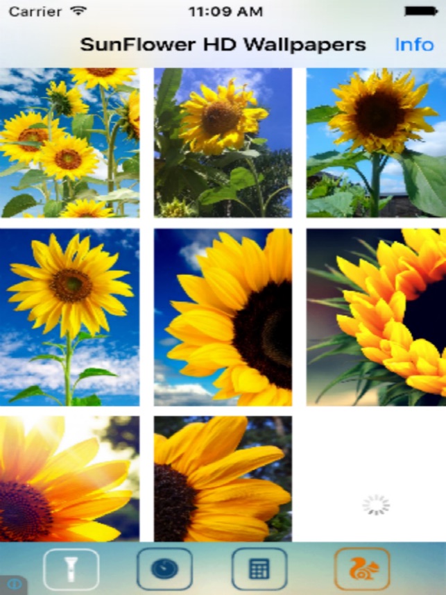 Sunflower Wallpapers On The App Store