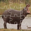 Kids Puzzles Hippopotamus Games And Learn Jigsaw