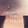 Quick Wisdom - Crossing The Chasm- Marketing Tips