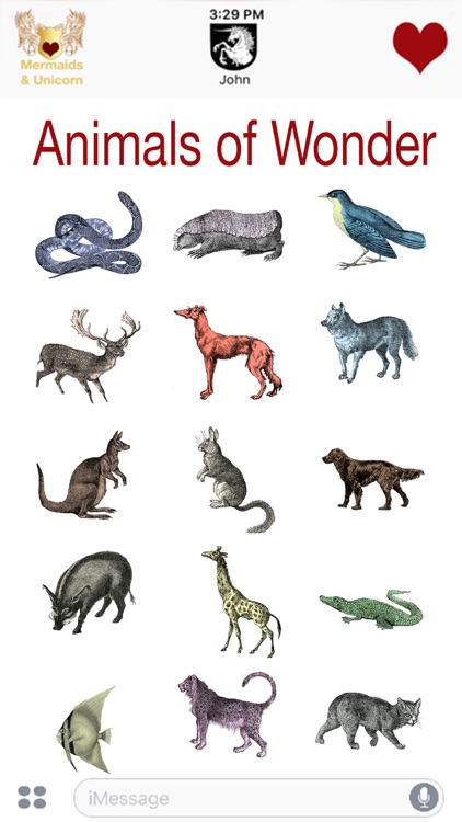 Animals of Wonder