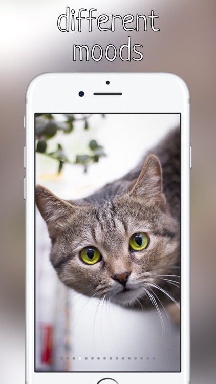 Purr Meow - Сat meow sounds free app