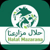 Halal | حلال - HALAL Mazarana