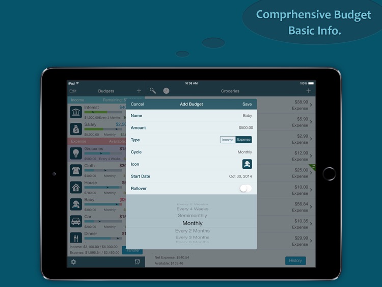 Best Budget Pro for iPad screenshot-3