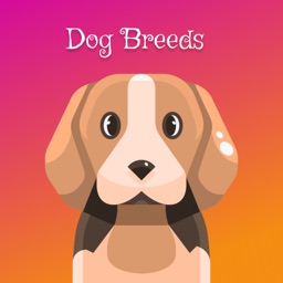 Dog Breeds: All Dog Identify