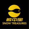 Snow Treasures