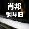 肖邦钢琴曲合集【史上最全】
