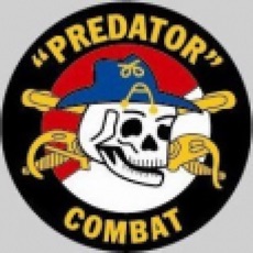 Activities of Predator Combat Games