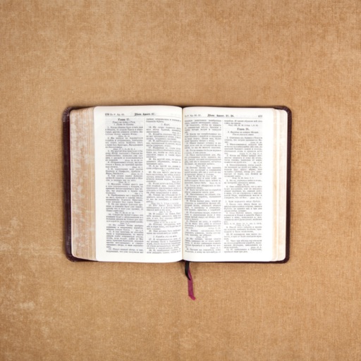 Bible Verses by Topic Preach iOS App