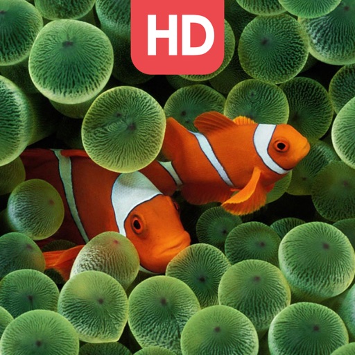 Live Aquarium HD Wallpapers | Backgrounds icon