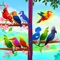 Bird sort Color puzzle is a fun and addictive puzzle game