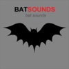 Bat Sounds & Scary Sounds