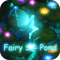 Activities of Fairy Pond