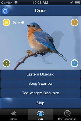 Bird Song Id USA Automatic Recognition Birds Songs - náhled