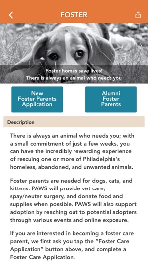 PAWS Philadelphia Animal Welfare Society(圖4)-速報App