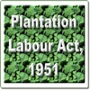 The Plantation Labour Act 1951
