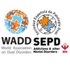 ICDD WADD 2017