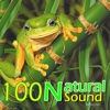[10 CD] 100 Natural Music for relaxation