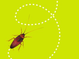Who doesn’t love creepy-crawly bugs