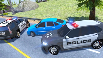 Luxury Police Carのおすすめ画像3
