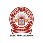 S S Public School