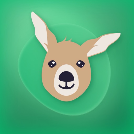 application icon