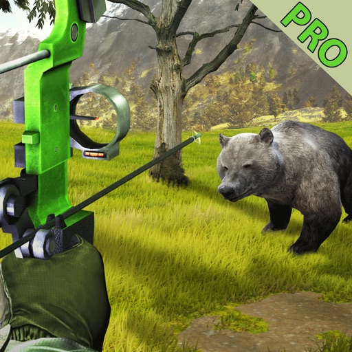 Jungle Animal Hunting : Archery Target Shooter icon
