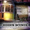 Hidden Scenes Mystery Puzzle